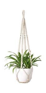 plant hanger