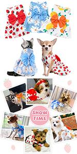 dog dress