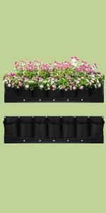 Wall-mounted Grow Bag