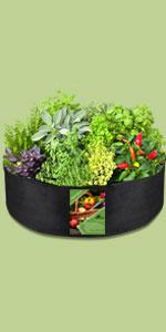 grow bags