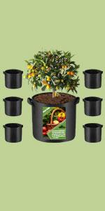 6pcs classic grow bags