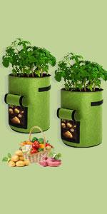 Potato Grow Bags