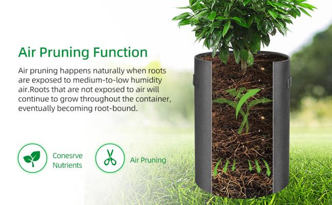 Potato Grow Bags