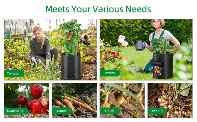 Potato Grow Bags