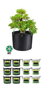 Grow Bags