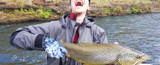 show catch