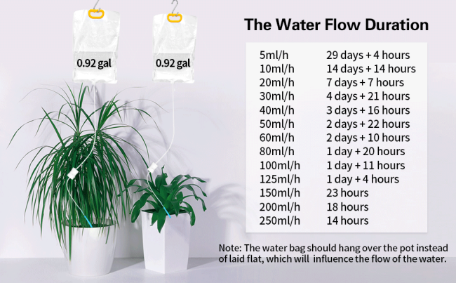 self watering system for plants