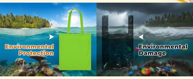 Reusable and Recyclable Bags