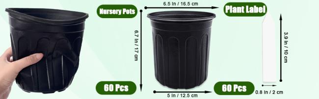 3 Seedling Pot with Drainage Holes