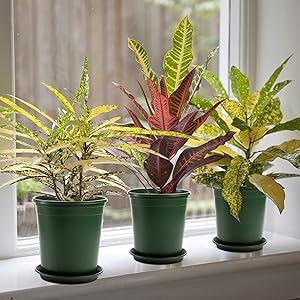 Nursery Pot