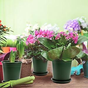 Nursery Pot