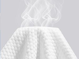 Disposable SPA Towels
