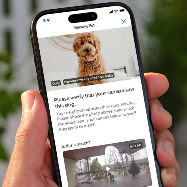 Phone showing a missing dog alert on Ring Pet Tag app