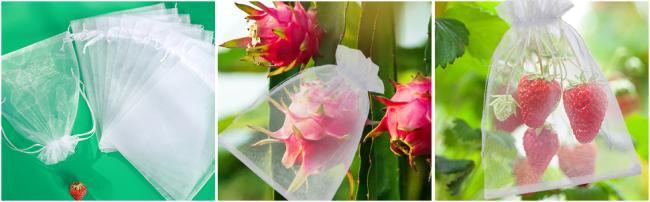 fruit tree netting