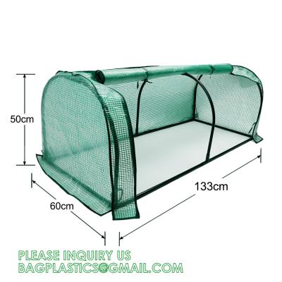China Heavy-Duty Poly Balcony Large Walk In Tunnel Plastic Greenhouse Tent For Winter Indoor Garden Winter PVC Mini for sale