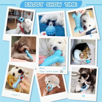 China Puppy Toys For Teething Small Dogs Cute Blue Pet Dog Chew Toys For Puppies Soft Rubber Funny Bone Ball Donut Indoor for sale