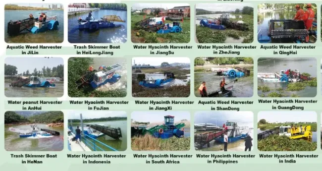 Full Aquatic Weed Harvester Custom Logo Waterway Cleaning Machine with Advanced Weed Harvesting Technology