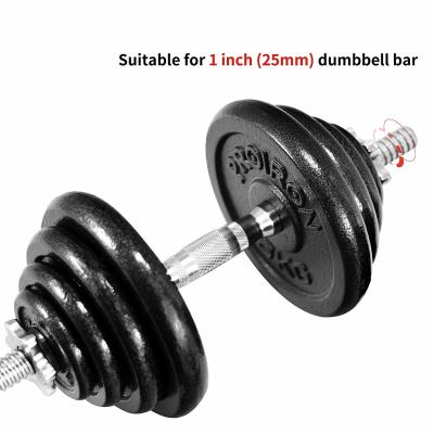 China Anti Rust Cast Iron 25kg 5Kg Bumper Weight Plates for sale