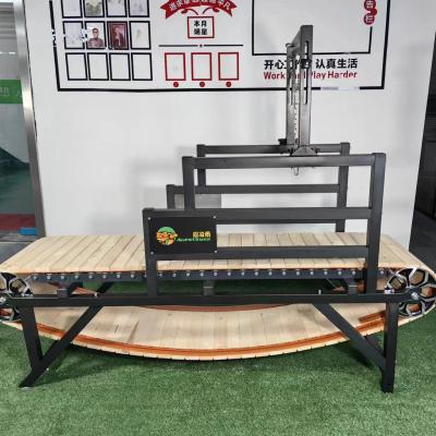 China Large Dogs REPTILES Agility Training Equipment Pet Fitness Treadmill for Dogs up to 220 lb for sale