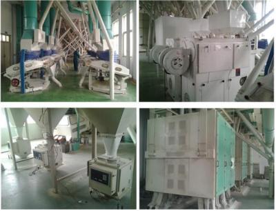 Китай Производственная линия пшеничной муки маиса/мозоли/меля, филировальная машина муки зерна продается