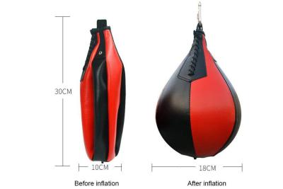 China Professional Boxing Gym Equipments Indoor Fitness Fight Hanging Speed Ball for sale