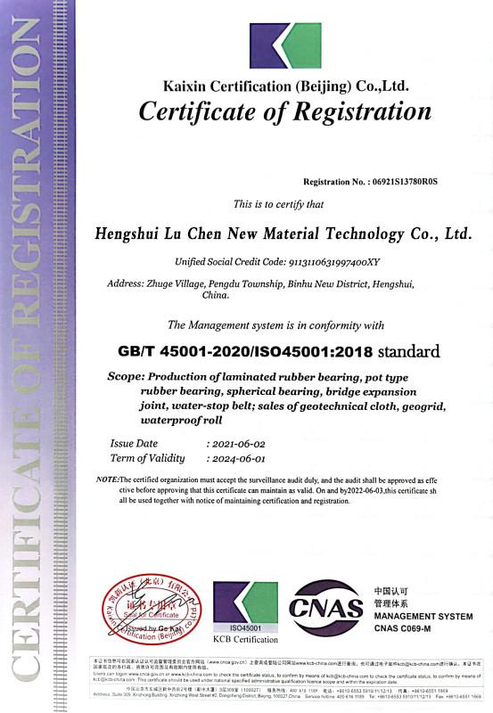  - Hengshui Lu Chen New Material Technology Co., Ltd.