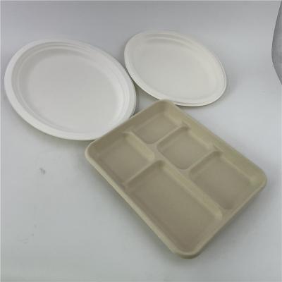 中国 生物分解性テーブルウェア サトウキビのバガスのパルプの紙皿のディナー・ウェアは置く 販売のため