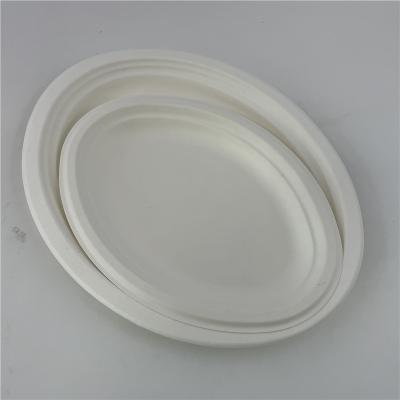 China El papel disponible biodegradable de la caña de azúcar platea 6 7 9 10 pulgadas para la comida en venta