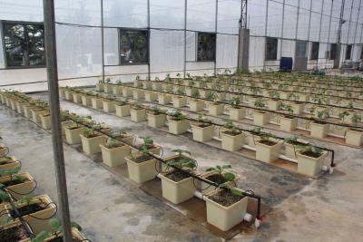 中国 農場および温室植物のための効率的の細流かんがいシステム付属品 販売のため