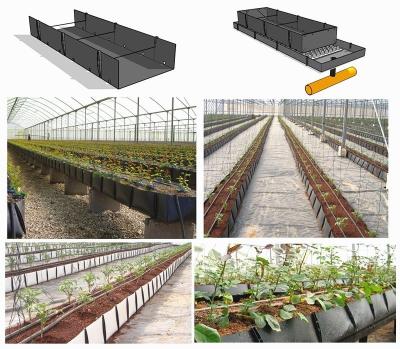China                  Hydroponic Plastic Cocopeat Grow Trough PP Tomatoes Planting System Economical Water Saving              for sale