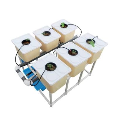 China                  High Quality Hydroponic Auto Dutch Pot Growing System for Grow Tomato and Cucumber              for sale