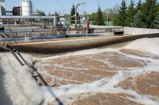 Educational institution drinking water solutions