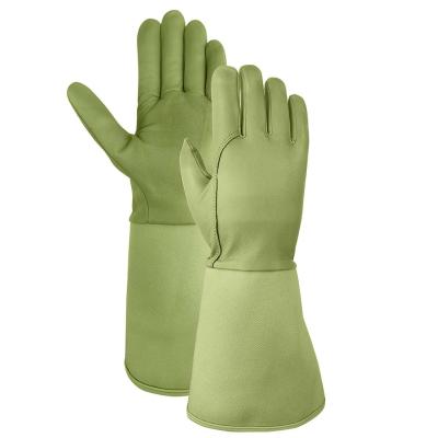 China Hysafety Long Leather Rose Pruning Garden Gloves / Thorn Proof Work Gloves for sale