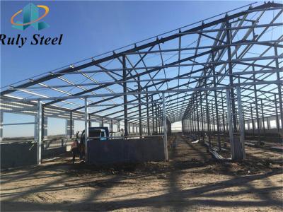 China Customized Steel Structure Building Prefabricated H-Section Steel for sale
