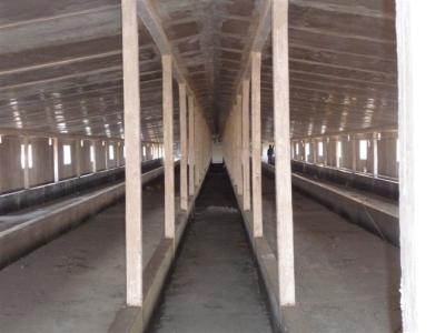 China Steel Sandwich Panel Material Poultry Steel Framing Systems For Breeding Chicken for sale