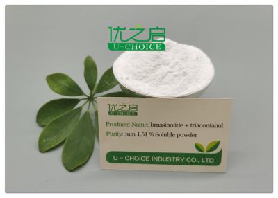 China Triacontanol Brassinolide Plant Growth Hormone Powde 1.51%SP for sale