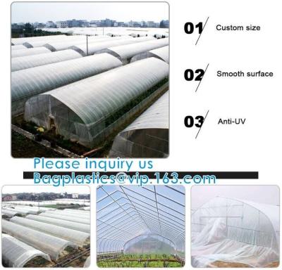 China 200 Micron Uv Resistant Film Greenhouse Perforated Mulch Agricultural Film Vegetable Planting for sale