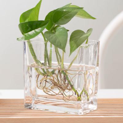 China Transparent 350ml Home Decoration Glass Pressed Small Rectangle Glass Vase for sale