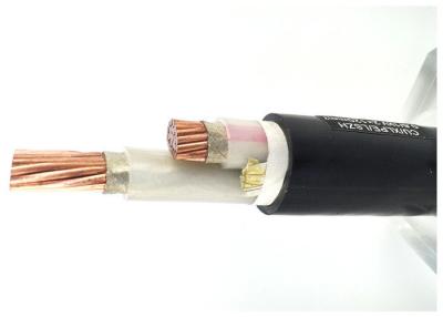 China Two Core IEC 60502-1 Cable | XLPE Insulation Power Cable Cu-Conductor / XLPE / PVC for sale
