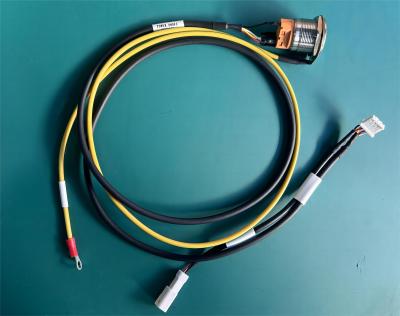 China 24V 800mm Cable Wire Harness Yellow Green Automotive Wire Harness 4MM for sale