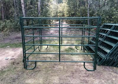 China Green Coated Lightweight Horse Corral Panels 5
