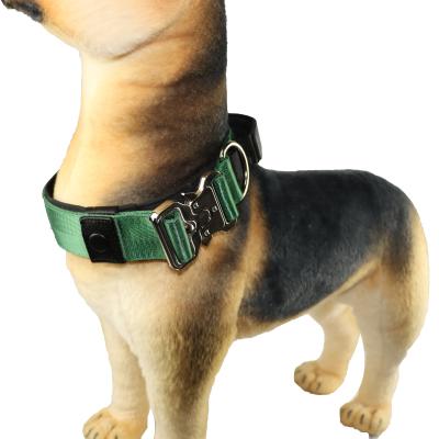 China Xl 2xl 3xl Adjustable Dog Collar For Sensitive Skin Training Puppy 35cm 50cm 60cm for sale
