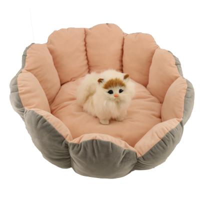 China Extra Large Dog Scratching Bed Health Benefits Anti Slip 50 X 70  48 X 48 48 X 36 for sale