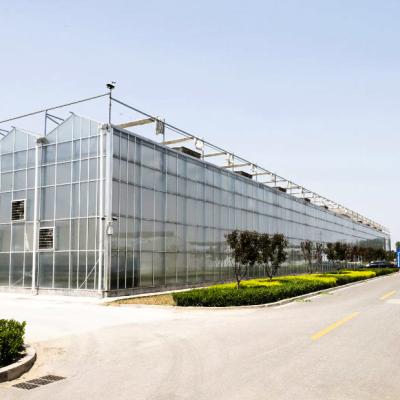 China Agricultural Hydroponic Glass Greenhouse Vertical Hydroponic System Large Glass Greenhouse for sale