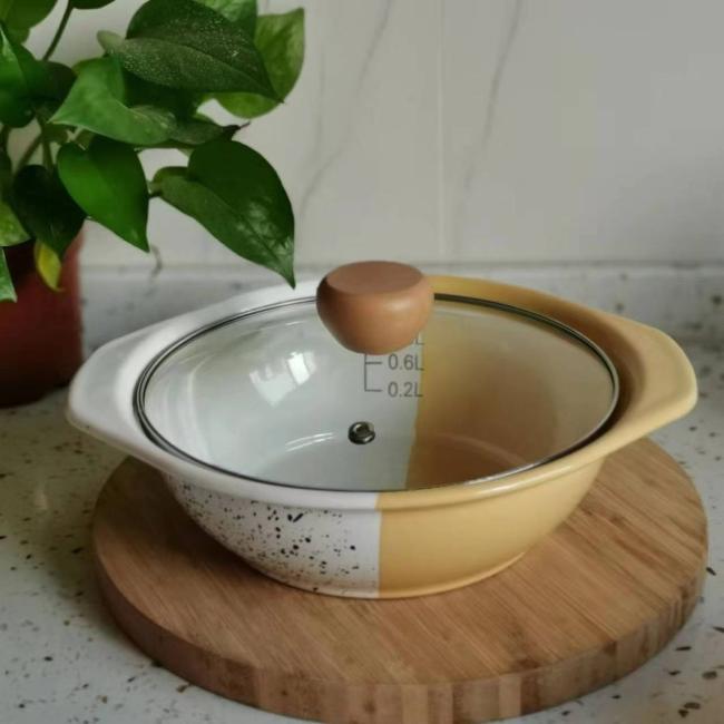 New Design Direct Heating Enamel Carbon Steel Casserole Cooking Pot
