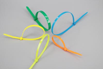 China DM-4*100mm DEMOELE famous nylon self locking cable ties for sale