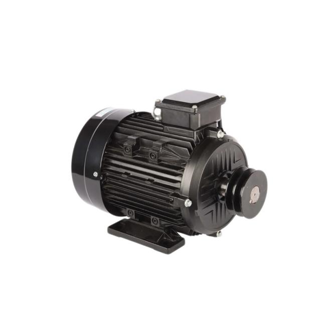 YD85-014 7.5HP electric motor side view