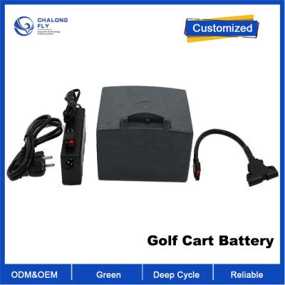 China OEM ODM LiFePO4 paquete de batería de litio Batería personalizada de carrito de golf 24v 10ah Batería de monopatín eléctrico de control remoto en venta