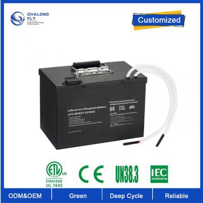 China OEM ODM Batería de litio LiFePO4 24100 24v 200ah Batería de litio Lifepo4 Batería personalizada en venta
