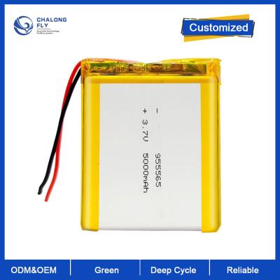 China LiFePO4 Lithium Battery Wholesale 3.7V 10000Mah 126090 Rechargeable Charging OEM ODM Lithium Polymer Battery for sale